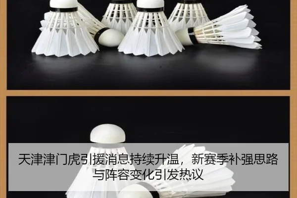 天津津门虎引援消息持续升温，新赛季补强思路与阵容变化引发热议 | Kaiyuan Qipai